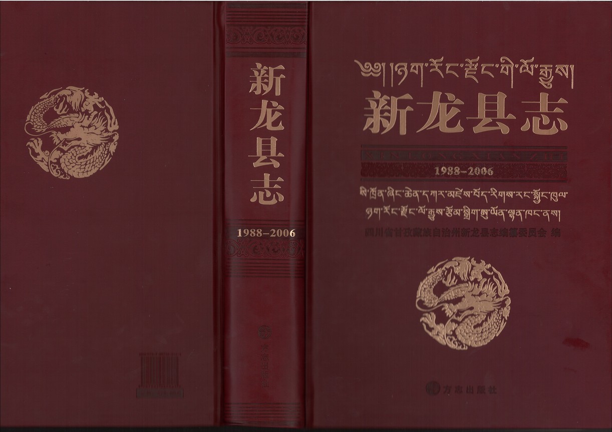 新龙县志（1988-2006）