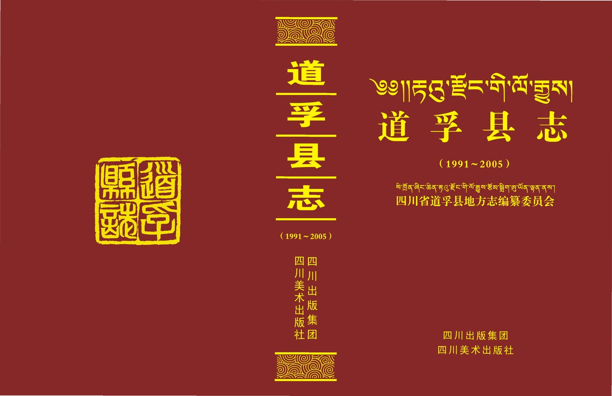 道孚县志（1991-2005）