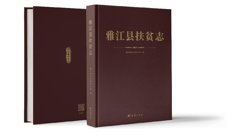 图片4