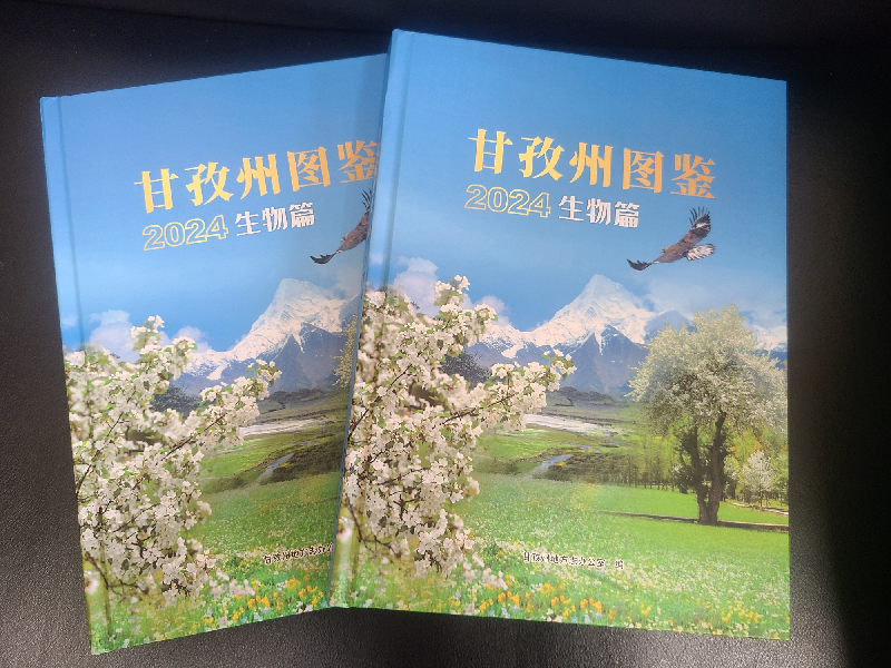 图片3